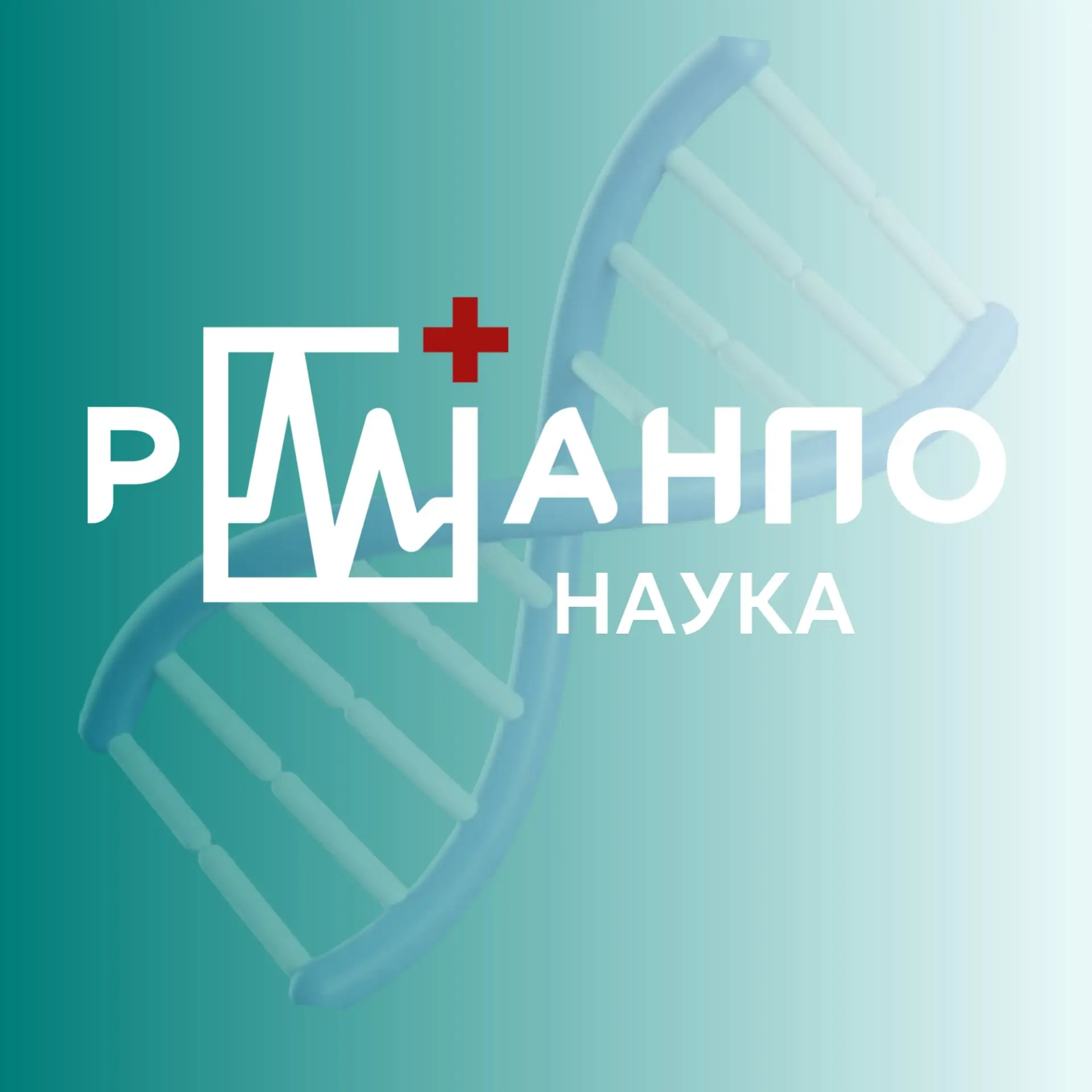 📖Кафедра РМАНПО выпустила новое учебное пособие для врачей

На кафедре анестезиологии, реаниматолог
