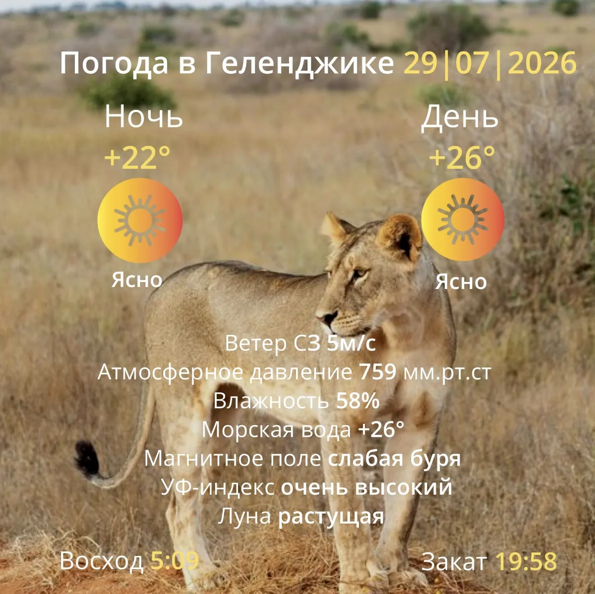 Погода на завтра