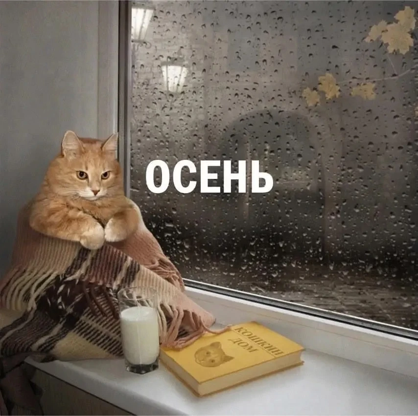🥴 Осенняя хандра может стать триггером тяги к алкоголю
