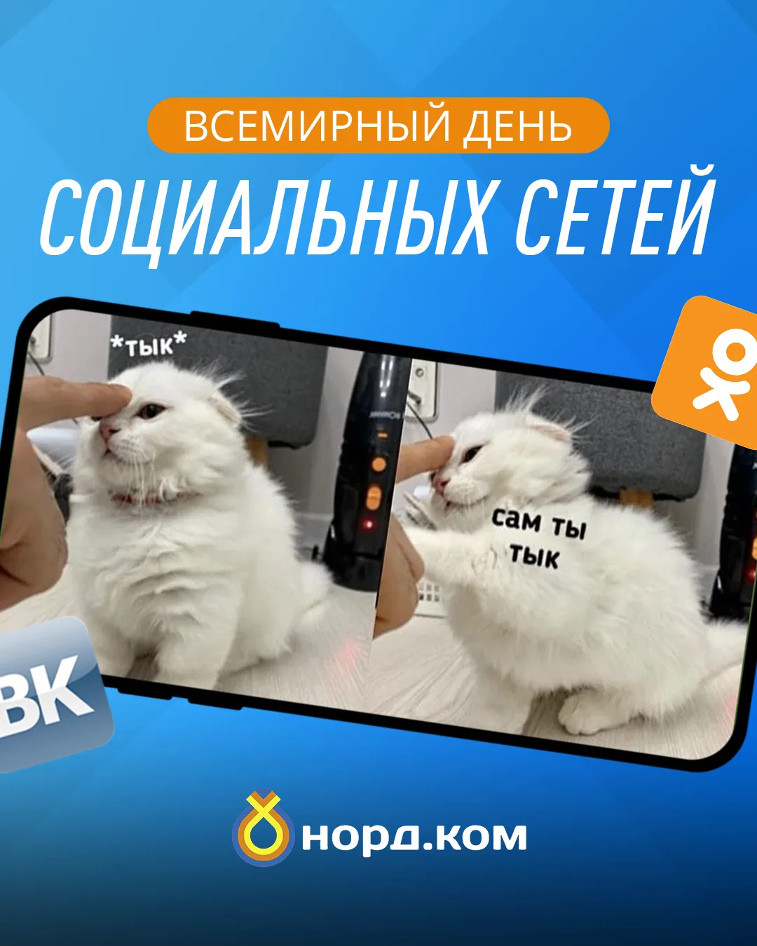 Для вас это просто мем с котиком. А для нас — это 300 километров кабеля через тайгу. Контент проделы