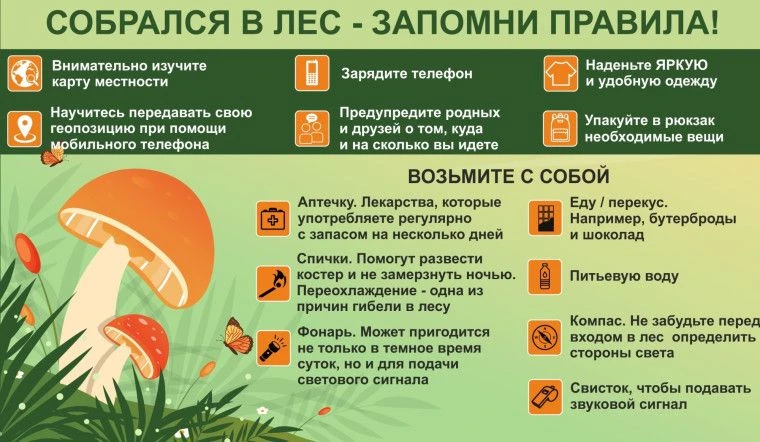✅ ПРАВИЛА БЕЗОПАСНОГО ПОВЕДЕНИЯ В ЛЕСУ