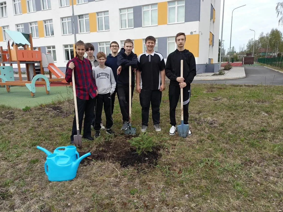АКЦИЯ "САД ПАМЯТИ"
В рамках акции "Сад памяти" выпускники 9 класса нашей школы высадили ёлочки в шко