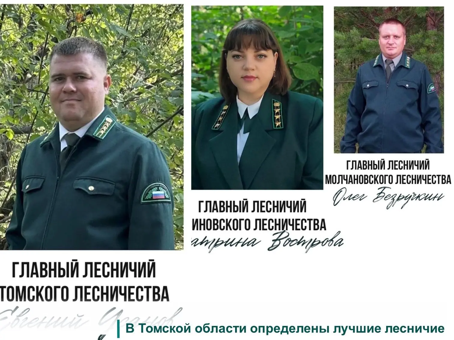 ✅В регионе подвели итоги конкурса «Лучший лесничий Томской области».