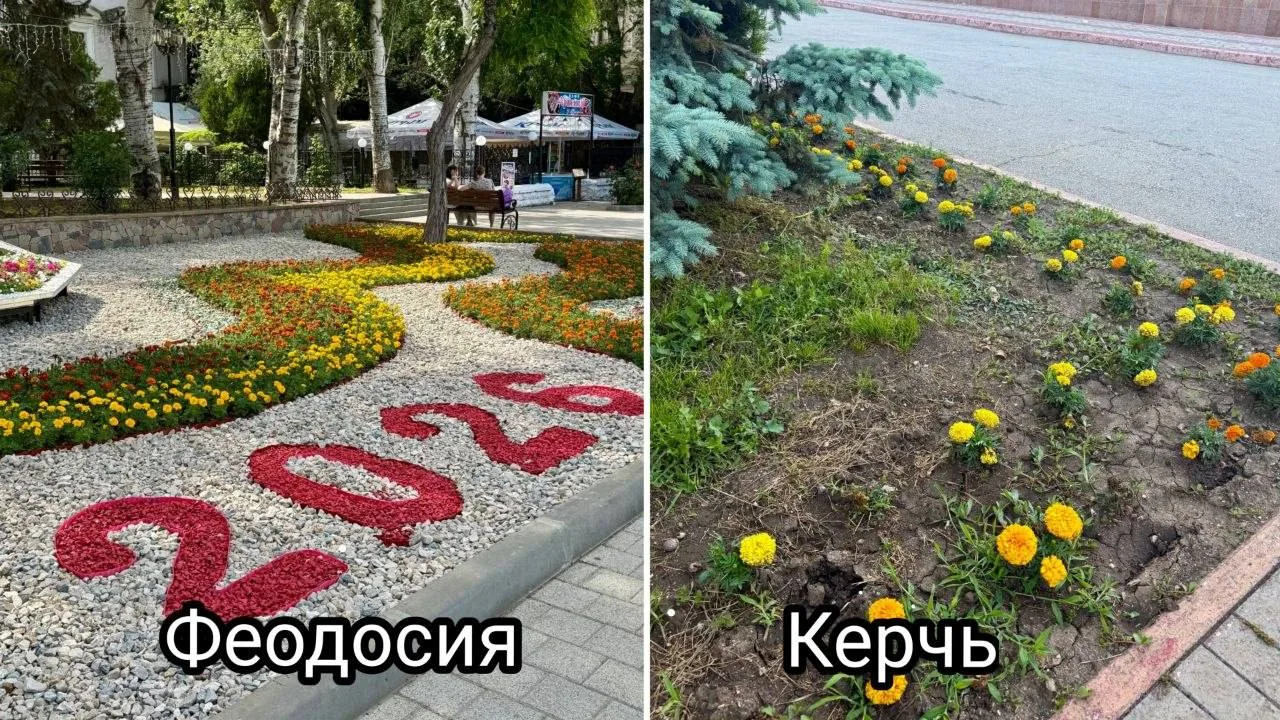 👀Почему в Феодосии красиво, а в Керчи “и так сойдет”?   

На фото — цветы в Феодосии и Керчи. И раз