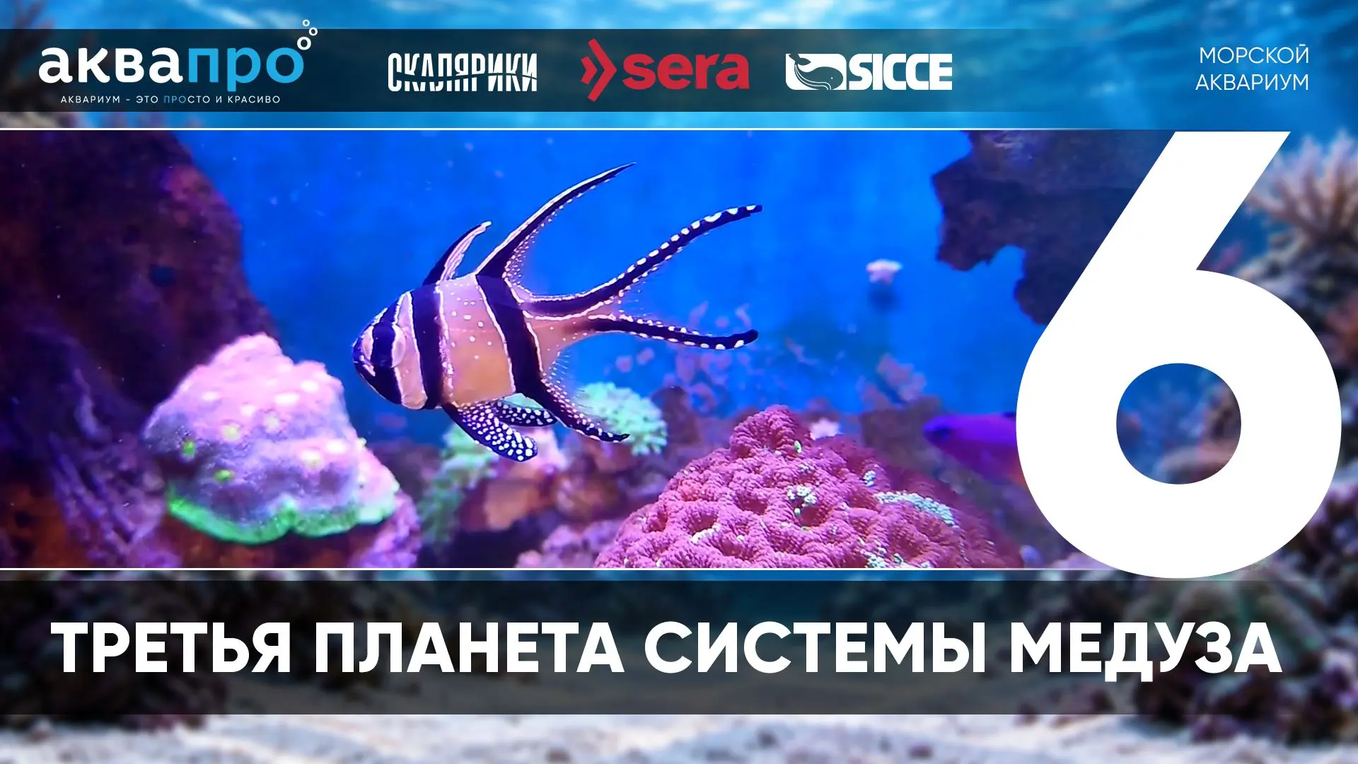 Фамилия Имя Отчество: Ковалевич Александр Степенович