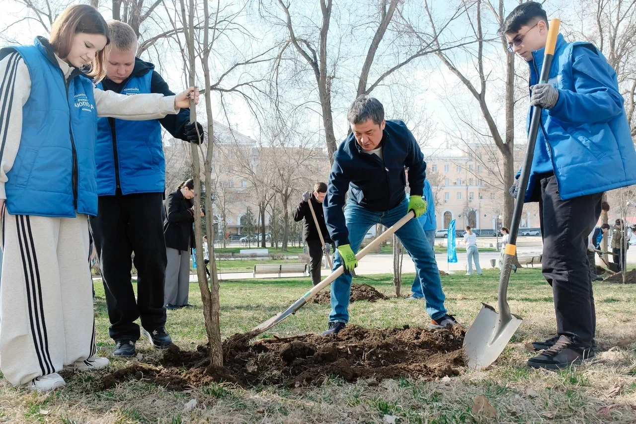 🌳 В Астраханской области Волонтёры Победы провели высадку «Сада памяти»  В этом году международная а