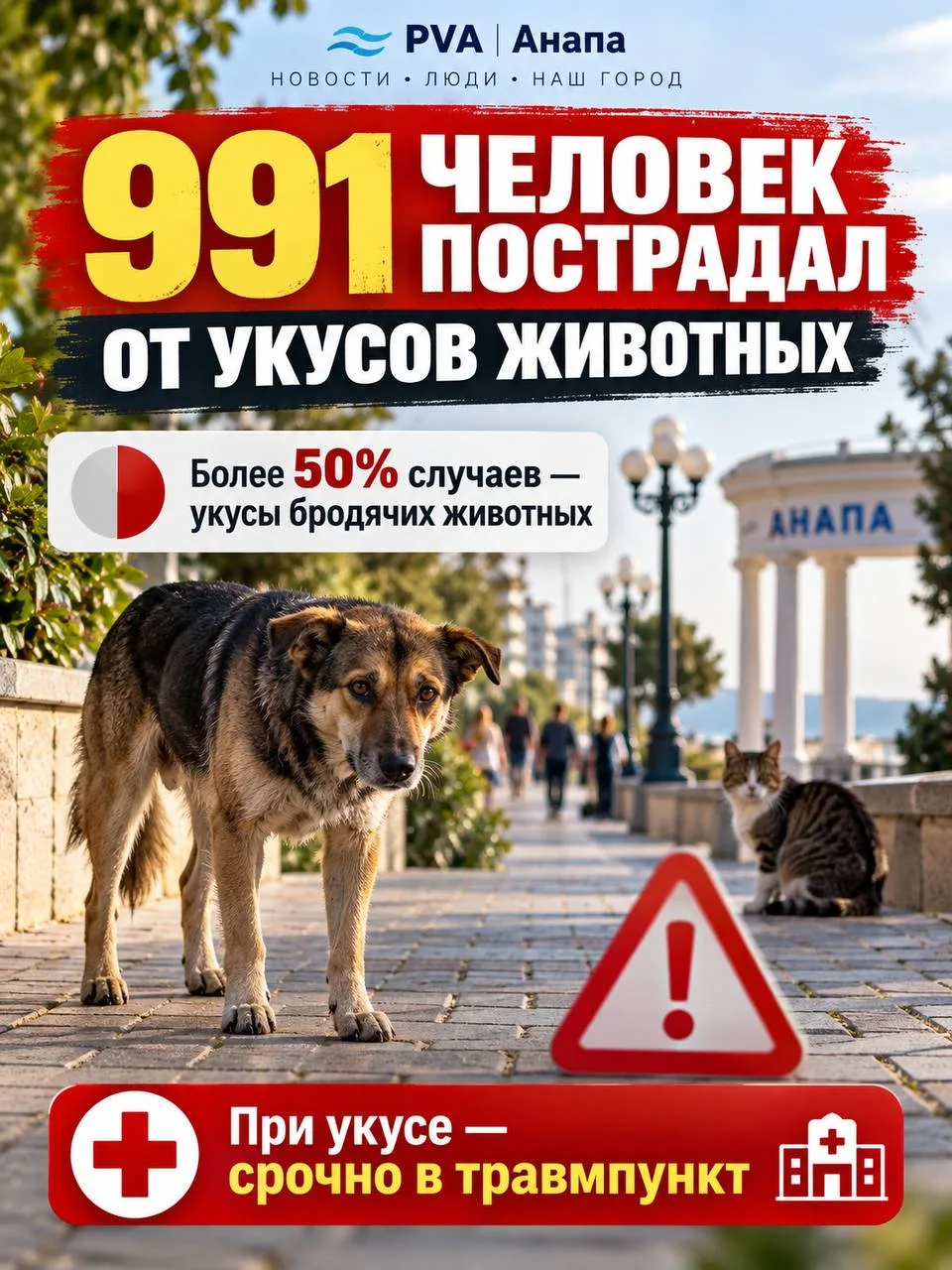 🐾 Почти тысяча укусов животных в Анапе с начала года