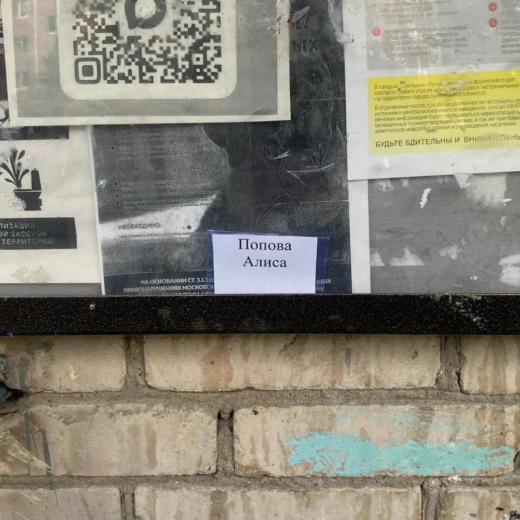 Добрый вечер, может кто узнает потерю пропуска.
