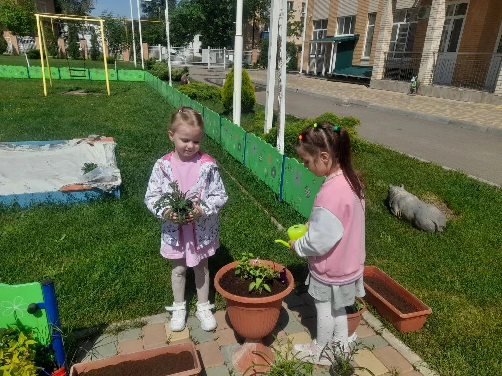 Территория становится красивее с каждым цветком, с каждым деревом! 🌿