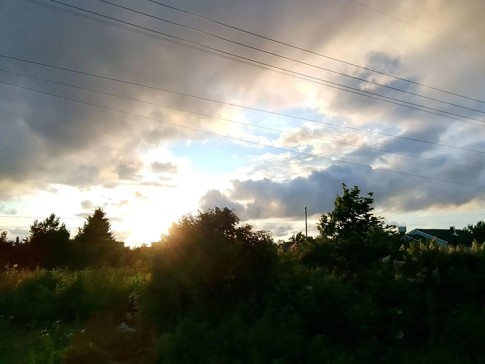 🏖 Лето с ВМК ☀️ Сегодня без солнца, но с душой 🌥️

Елизавета из 612 группы показывает, что пасмурн