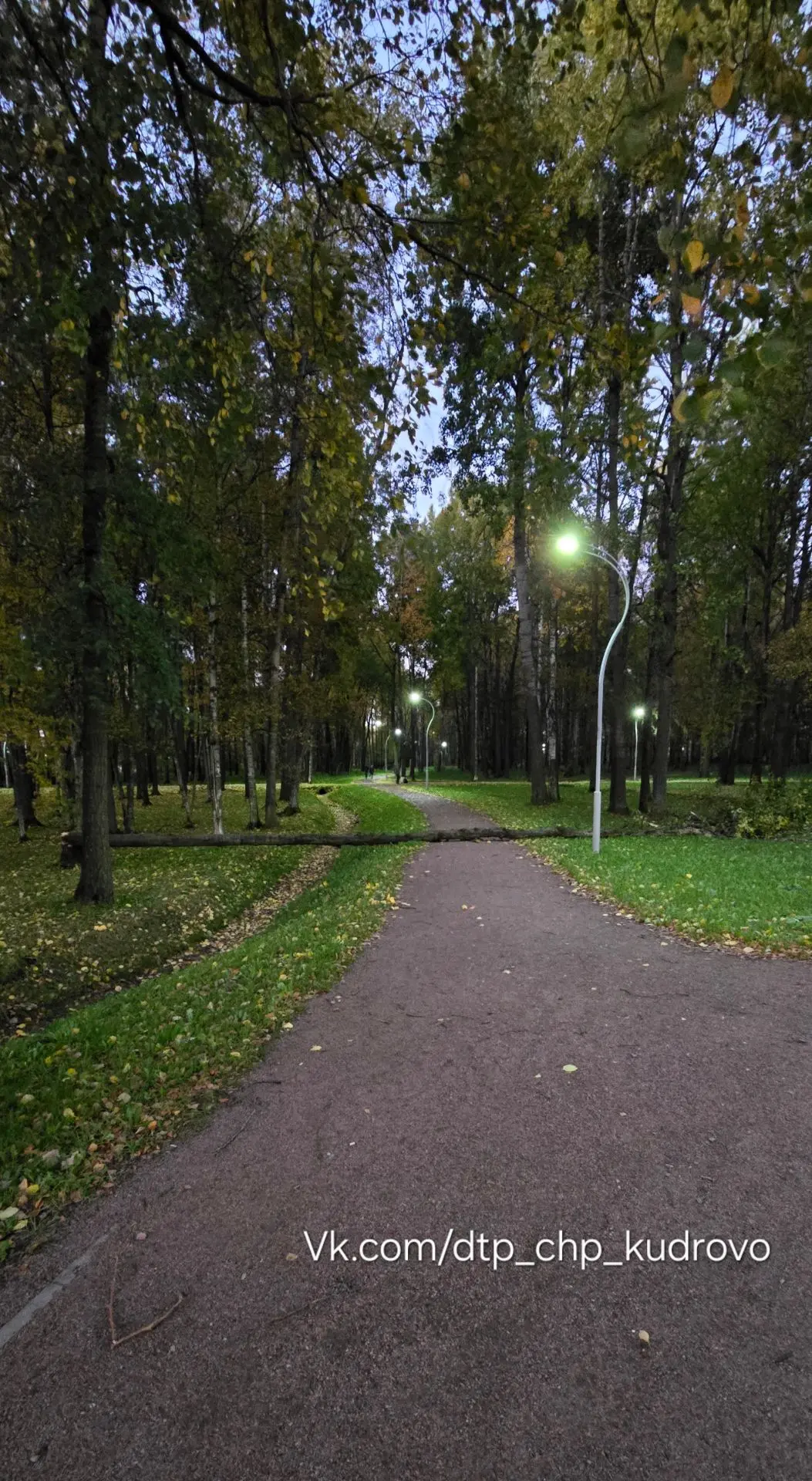 В парке Есенина возле метро падают деревья, три уже рухнуло, одно прямо при мне. Одному...