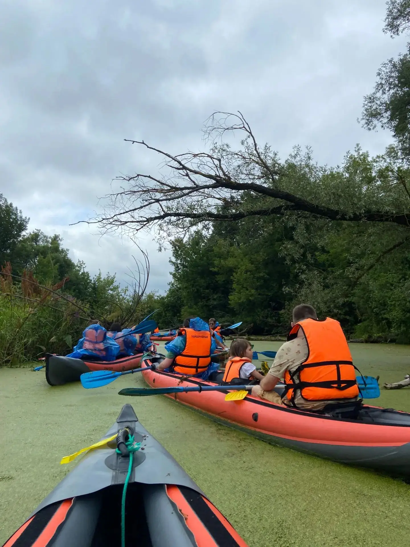 Ловим яркие моменты лета🛶