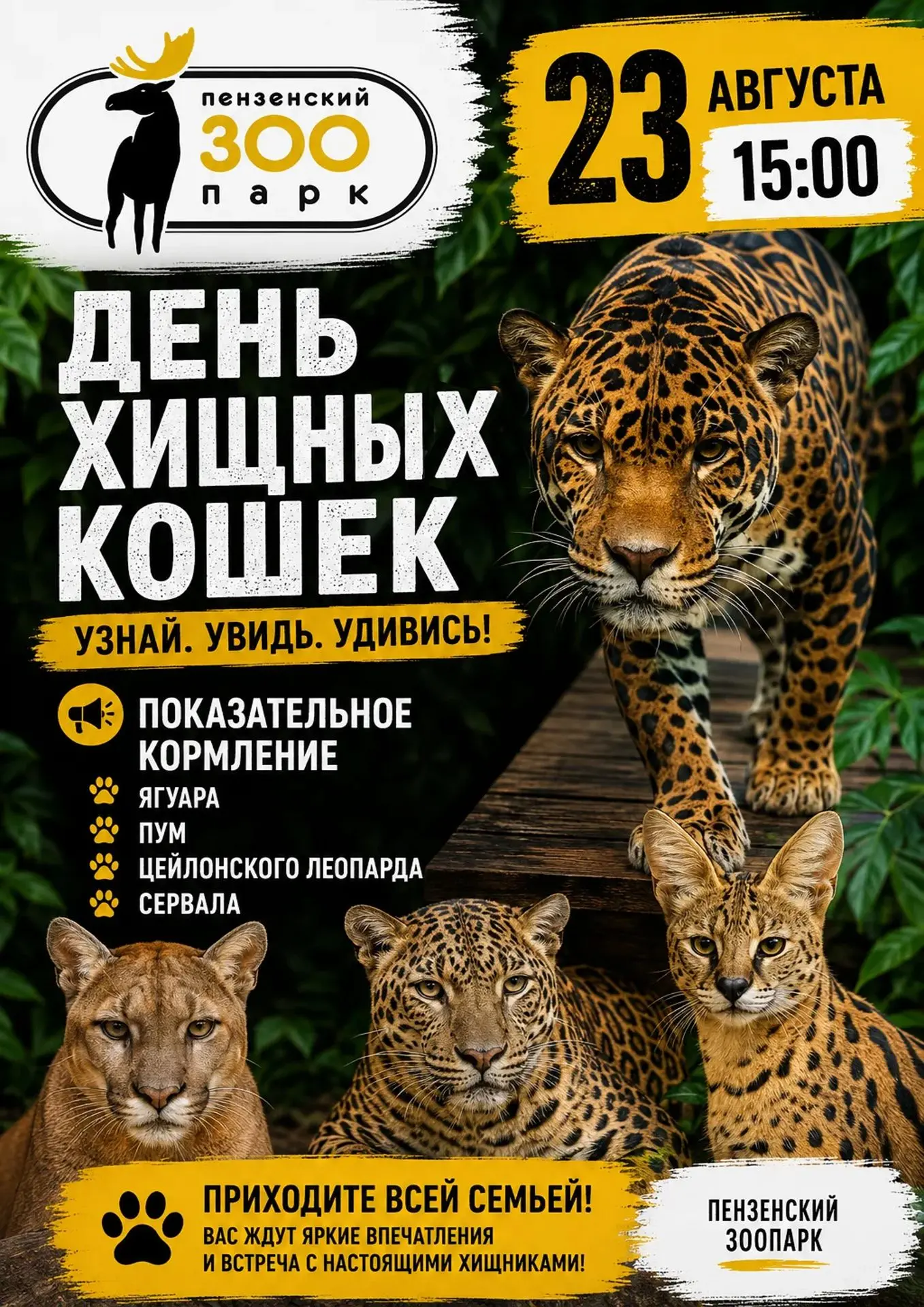 23 августа в 15:00 приглашаем всех на праздник грации, мощи и дикой красоты — День хищн...
