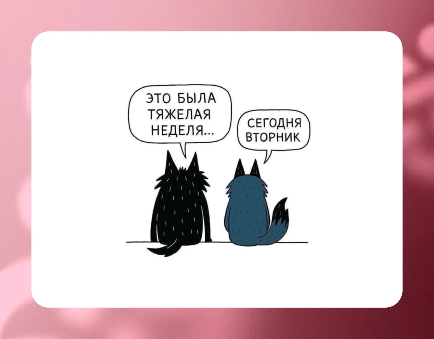 … 🤪