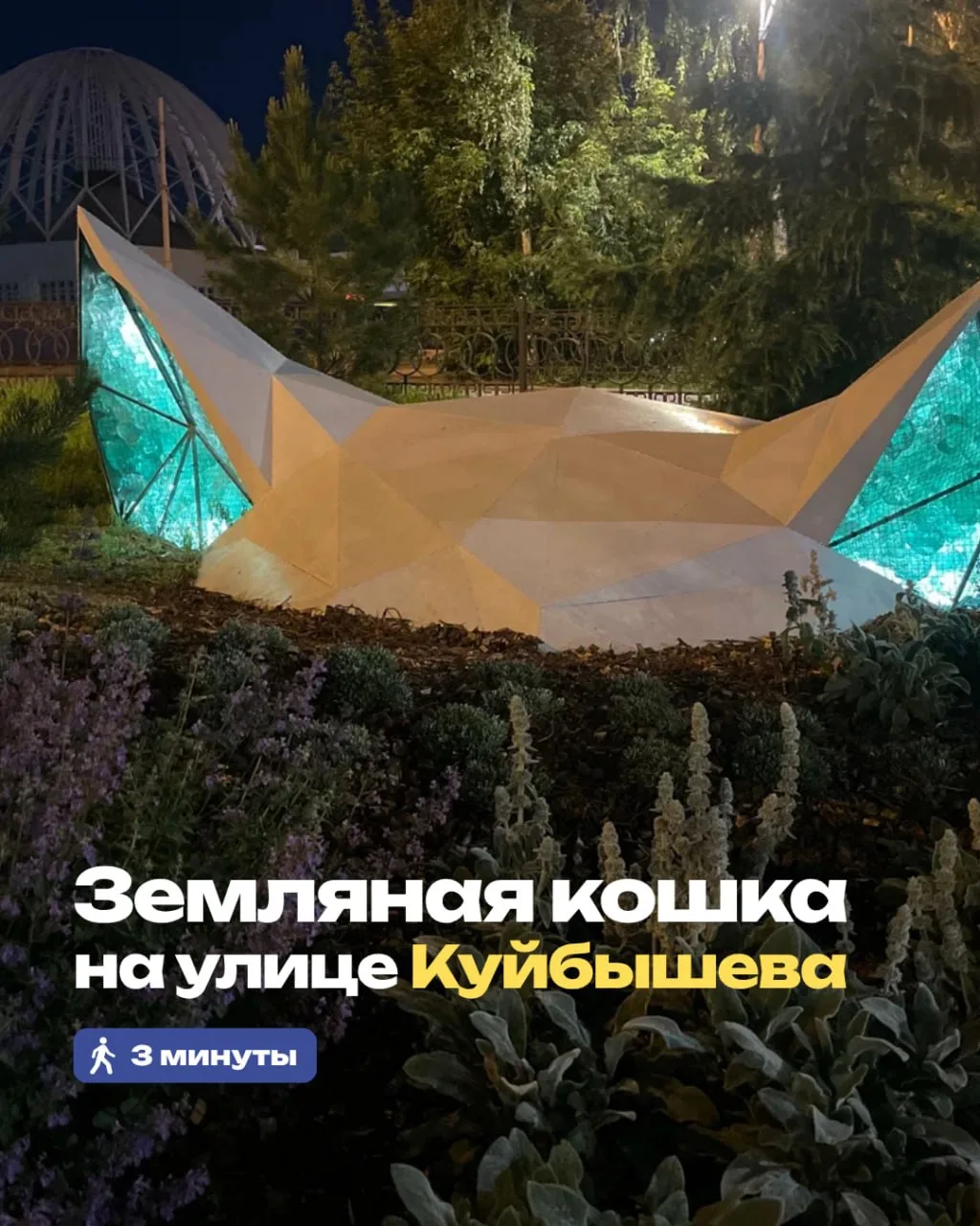 Рядом с отелем поселилась кошка. Но не обычная, а Земляная 🐈