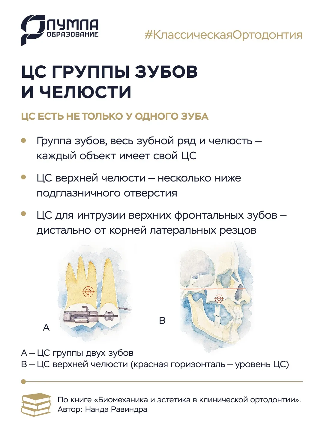 Центр сопротивления привыкли искать у отдельного зуба. Но он есть у каждого объекта, который мы пере