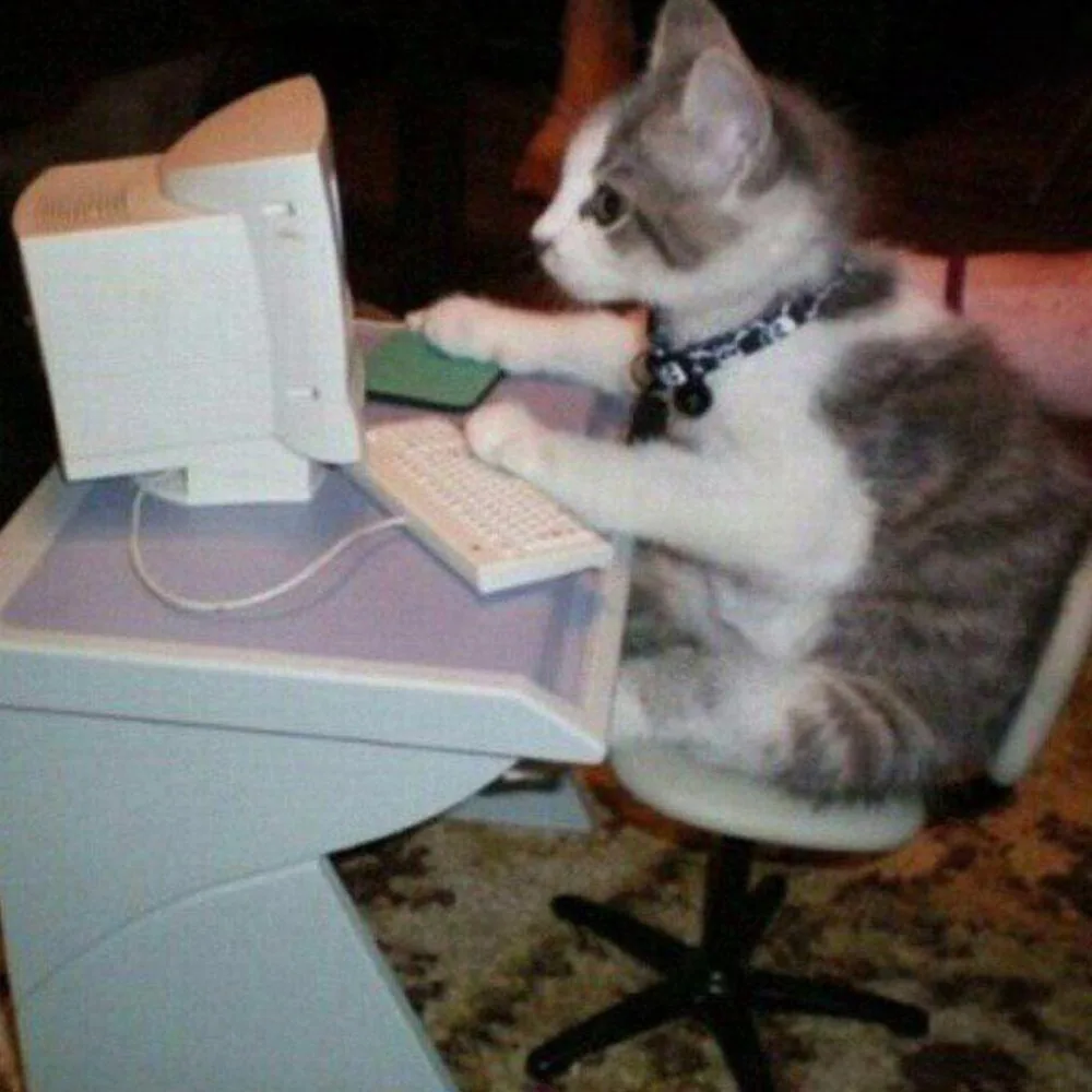 🐈 Юристы напомнили, как законно взять питомца на работу

В Трудовом кодексе нет прямых запретов на 