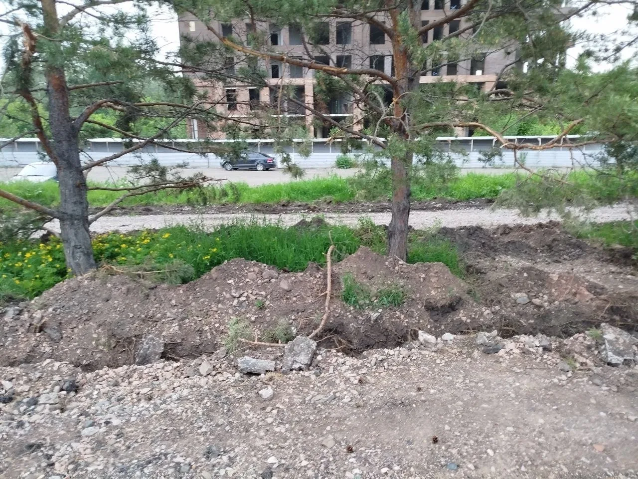 Подрядчика оштрафуют за повреждение деревьев при благоустройстве набережной Качи