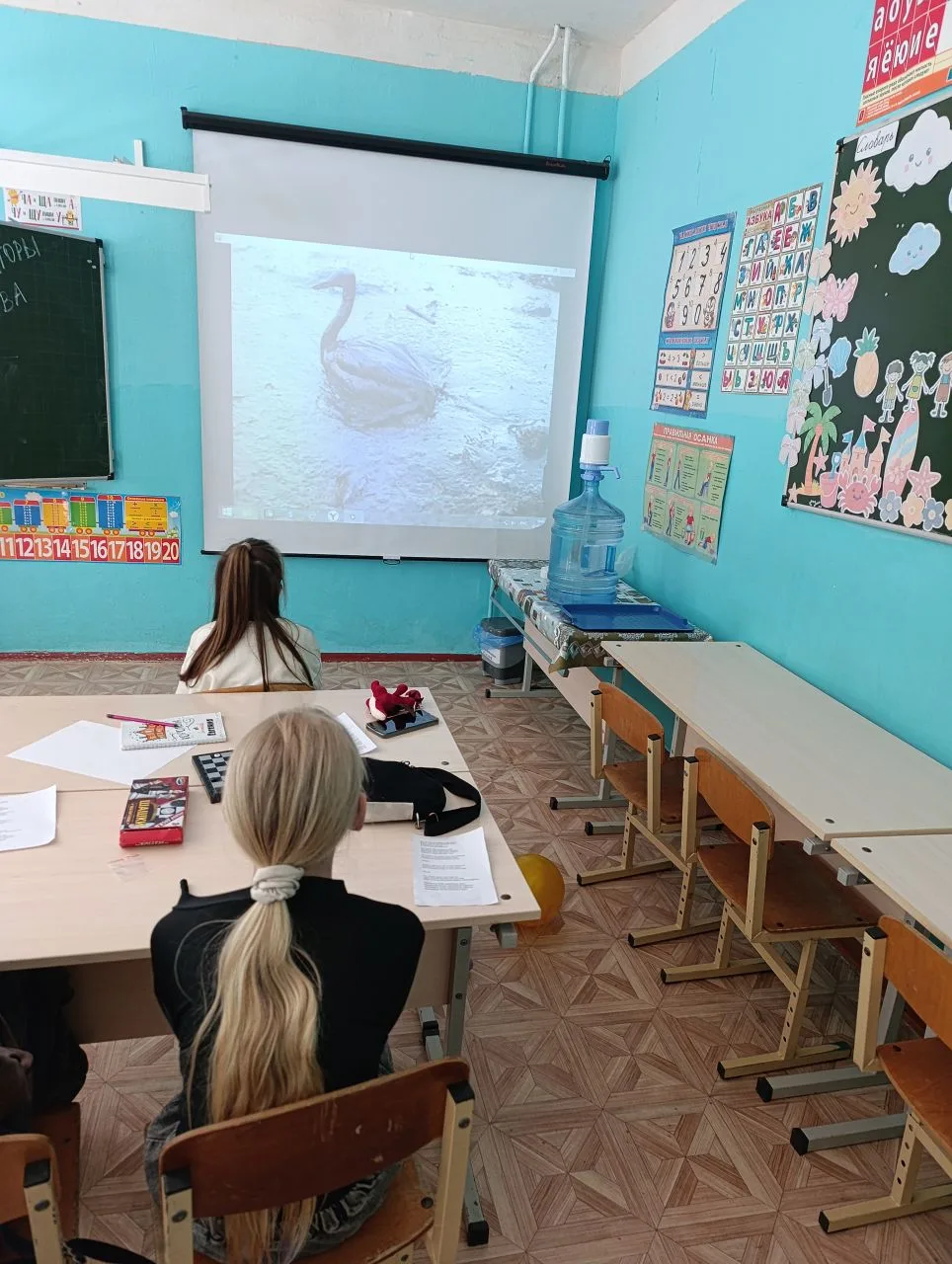 Для обучающихся лагеря с дневным пребыванием детей педагоги станции юных натуралистов п...