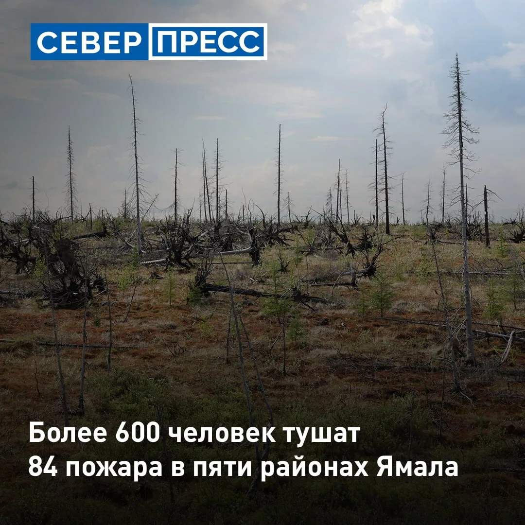 К утру 5 июля в лесах Ямала бушуют 84 природных пожара. Семь из них сосредоточены на ос...