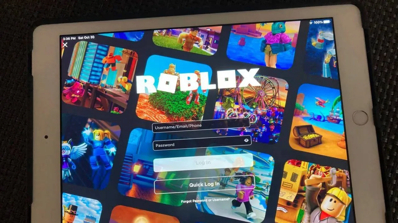"История с Roblox четко показывает, что все сервисы могут вернуться в случае соблюдения...