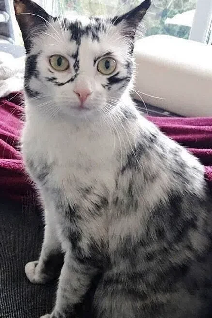 Природный макияж
Красоты в ленту 💖💝