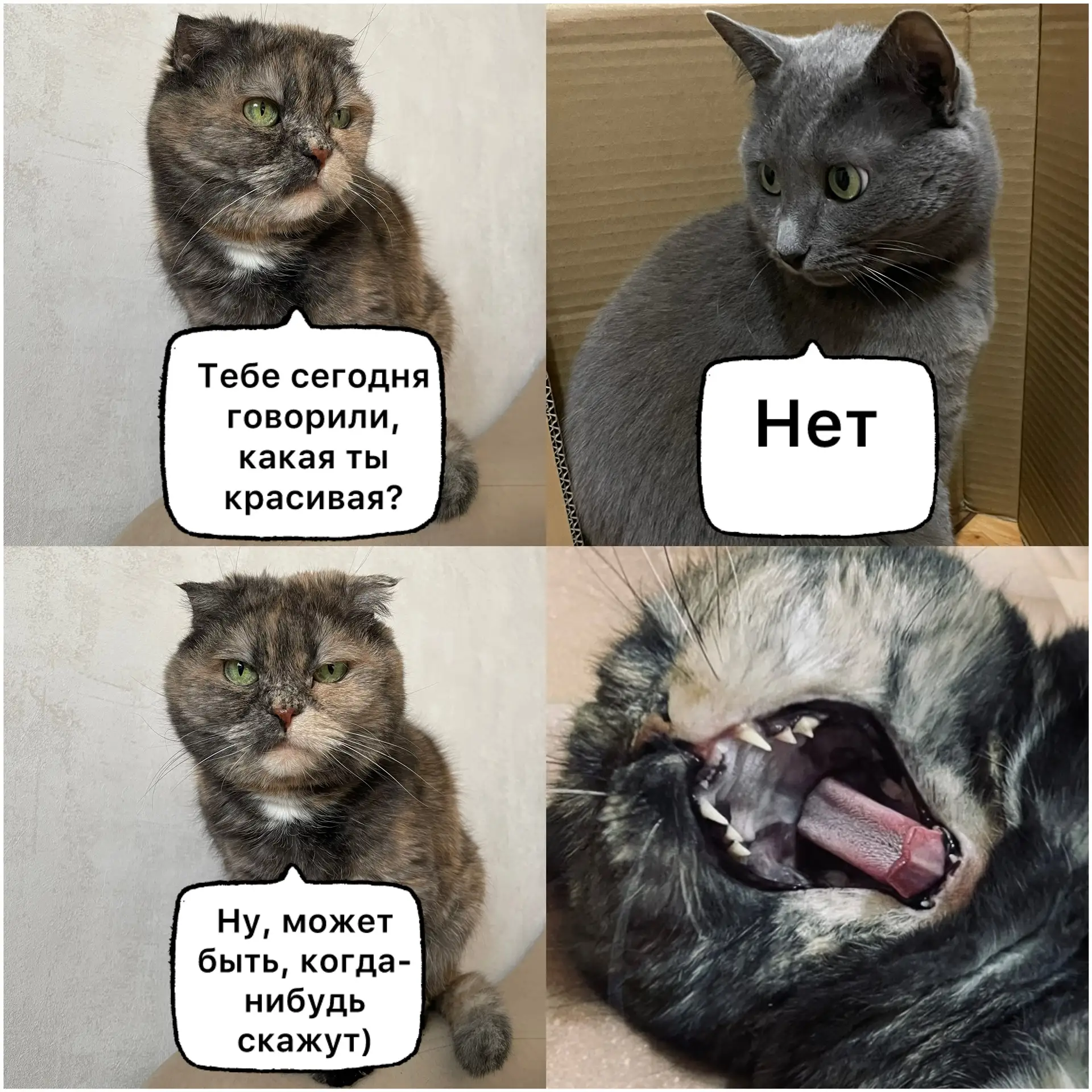 Ну, такой себе комплимент…Или не комплимент это😁