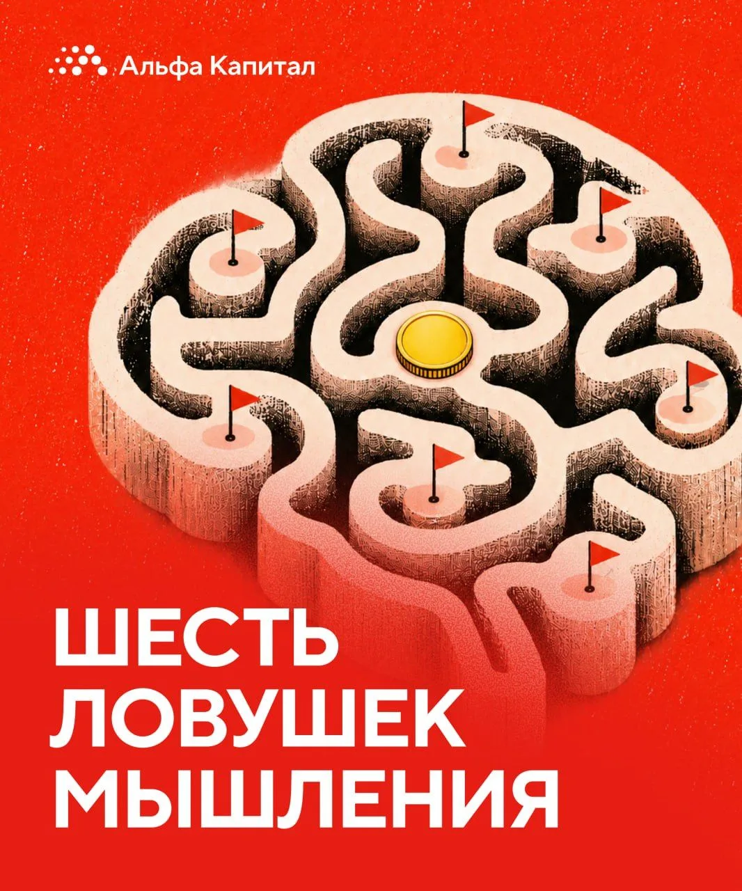 🫡 Замечали, что, когда вы в чем-то уверены, нужные аргументы как будто притягиваются с...