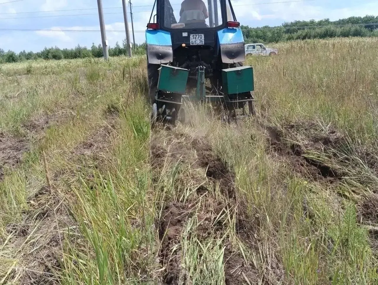 🌳 В Давыдовском лесничестве выполнили половину годового плана по уходу за лесами.