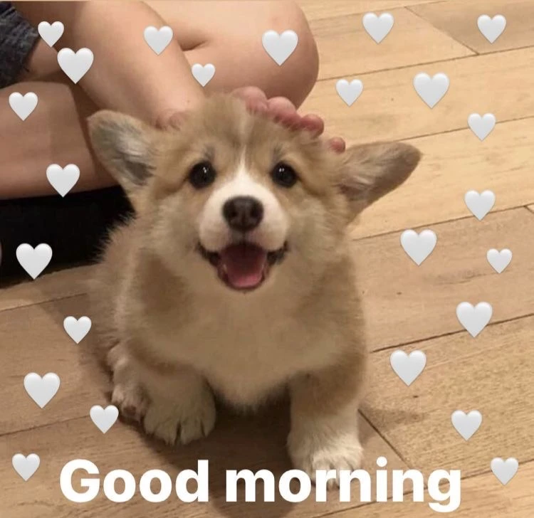 Доброе утро релятки!❤️