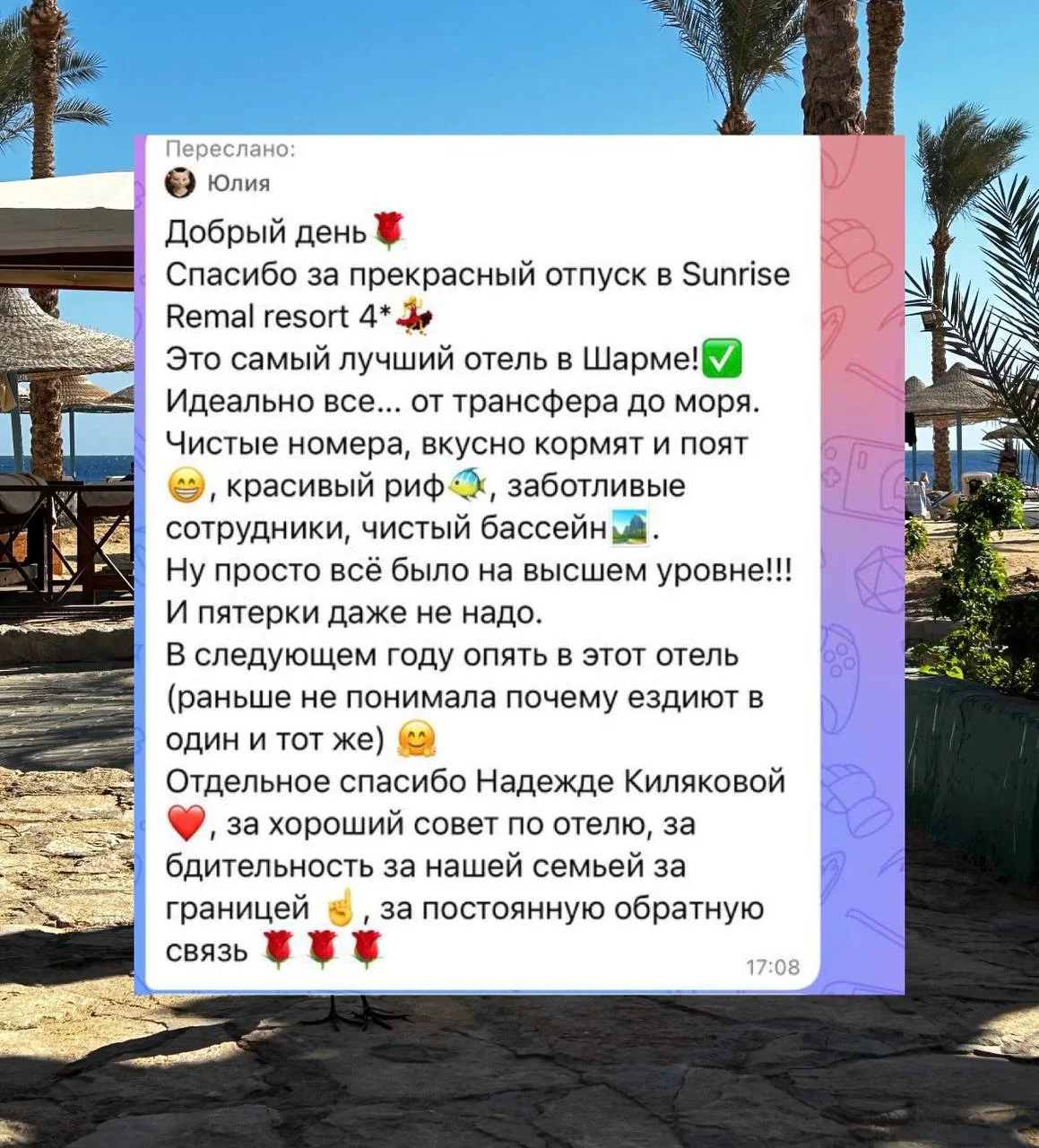 «в следующем году - только сюда» - такие отзывы получать - это  💔

Отель, в который хочется возвращ