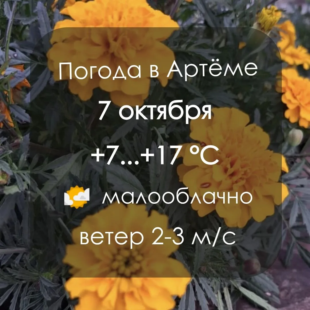 ☘️ Доброе утро, Артём!