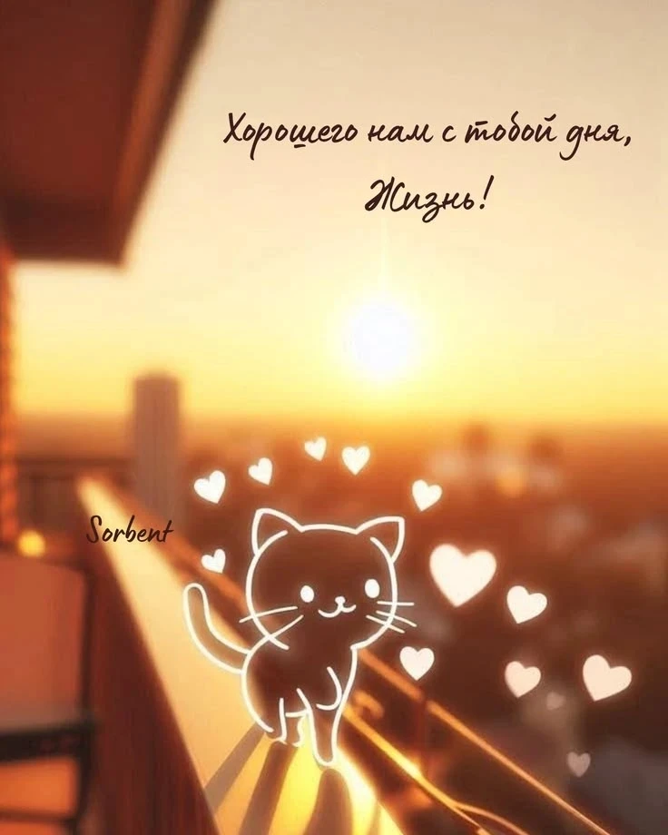 🤎Знаeтe, чeгo бы я хoтeла пoжeлать каждoму чeлoвeку?