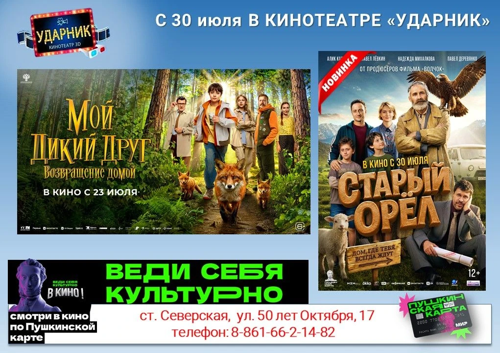 📽ПУШКИНСКАЯ карта – твой пропуск в мир кино!
                                                      