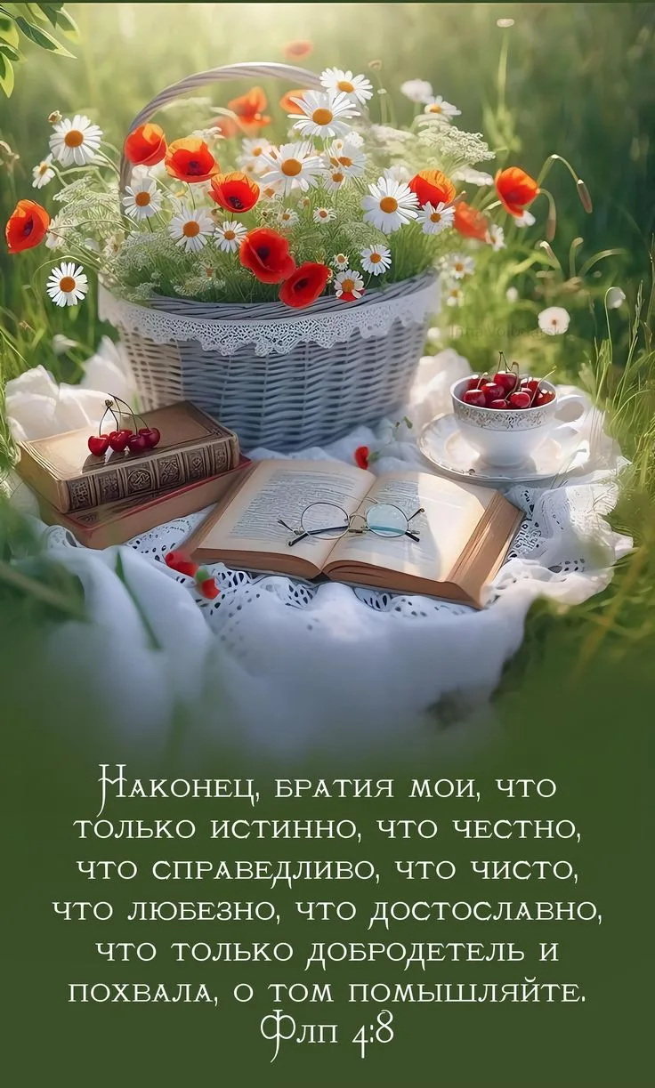 👉 Наши каналы. Подписаться.