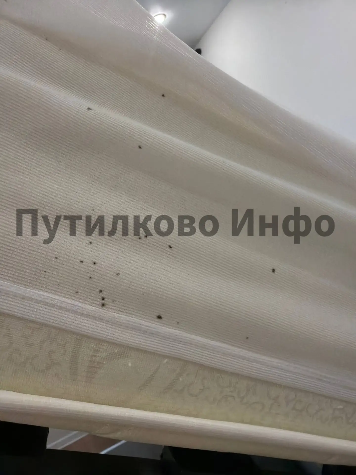 #нампишут #бп #клопы