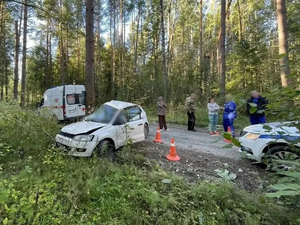 Ещё одно смертельное ДТП в Череповецком округе. 2 человека погибли в результате наезда ...