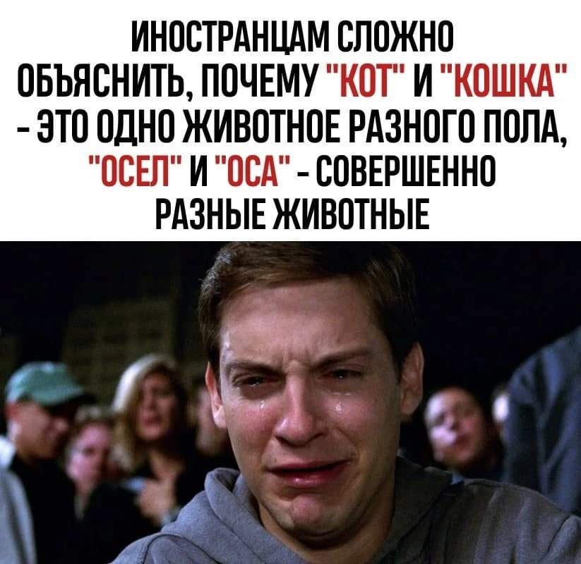 Бедняги, тяжело им приходится😅