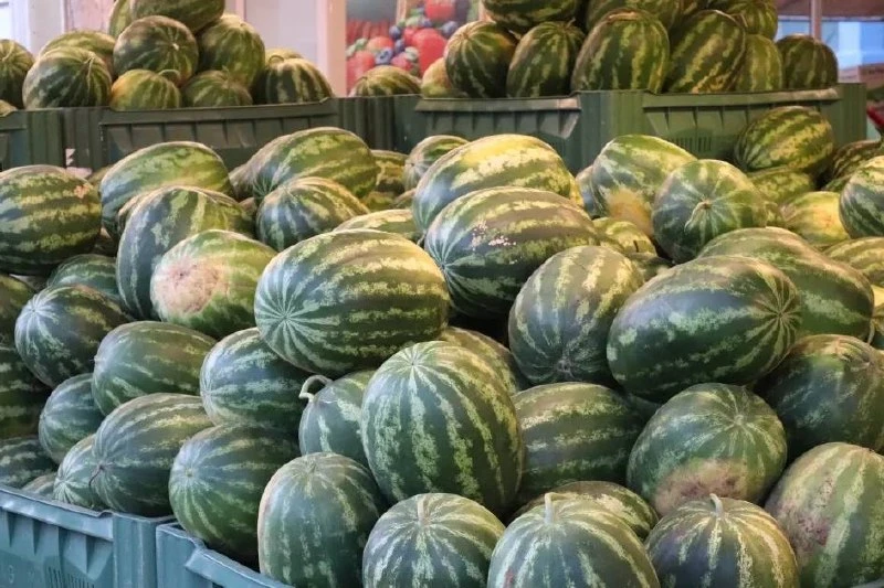 🍉 С 1 августа начнут работу сезонные точки с арбузами

Покупать сезонное лакомство лучше всего толь