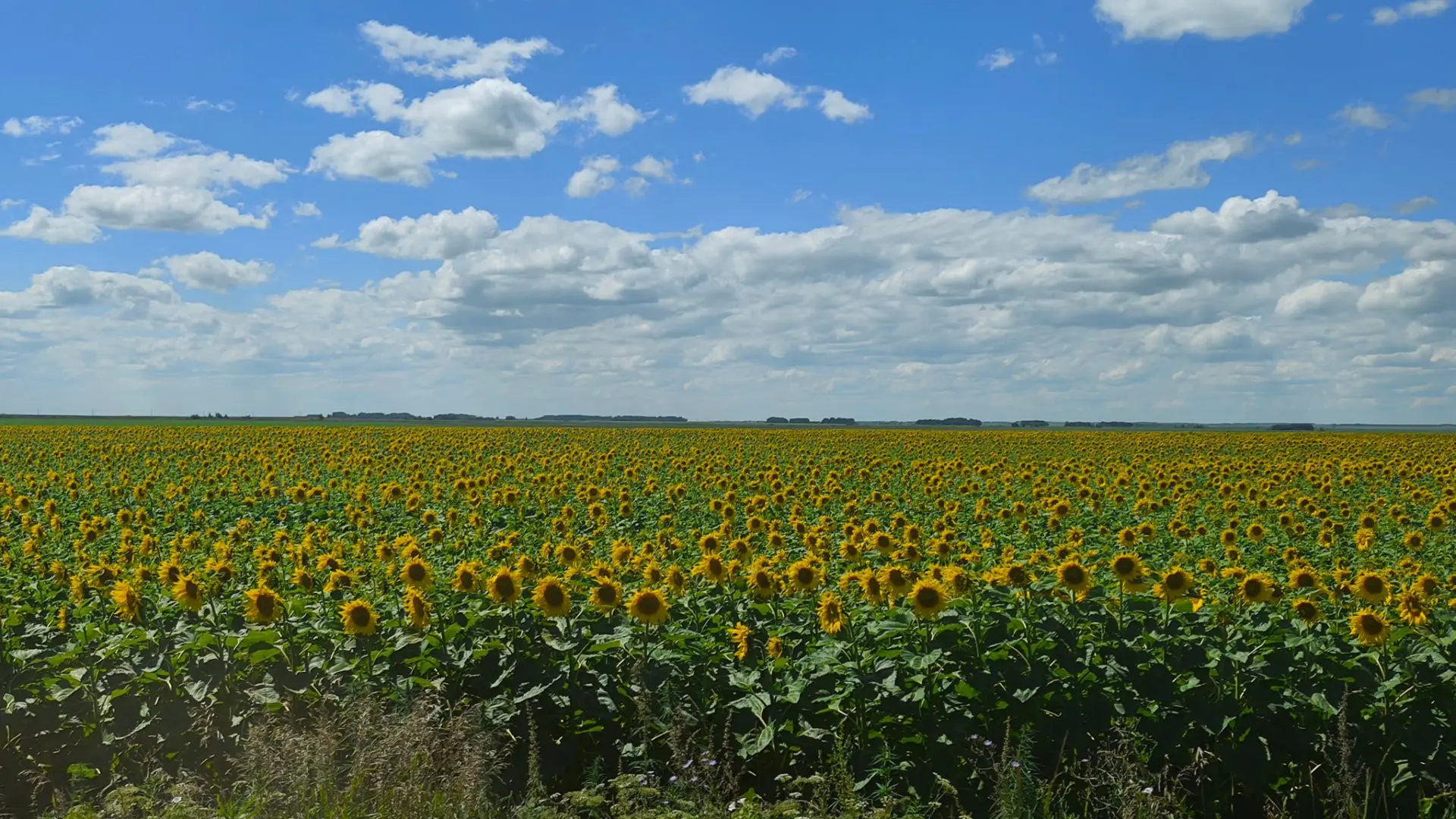 Доброе утро, земляки 🌞. По традиции о погоде сегодня: жарко, очень жарко 🥵. Столбики термометров п