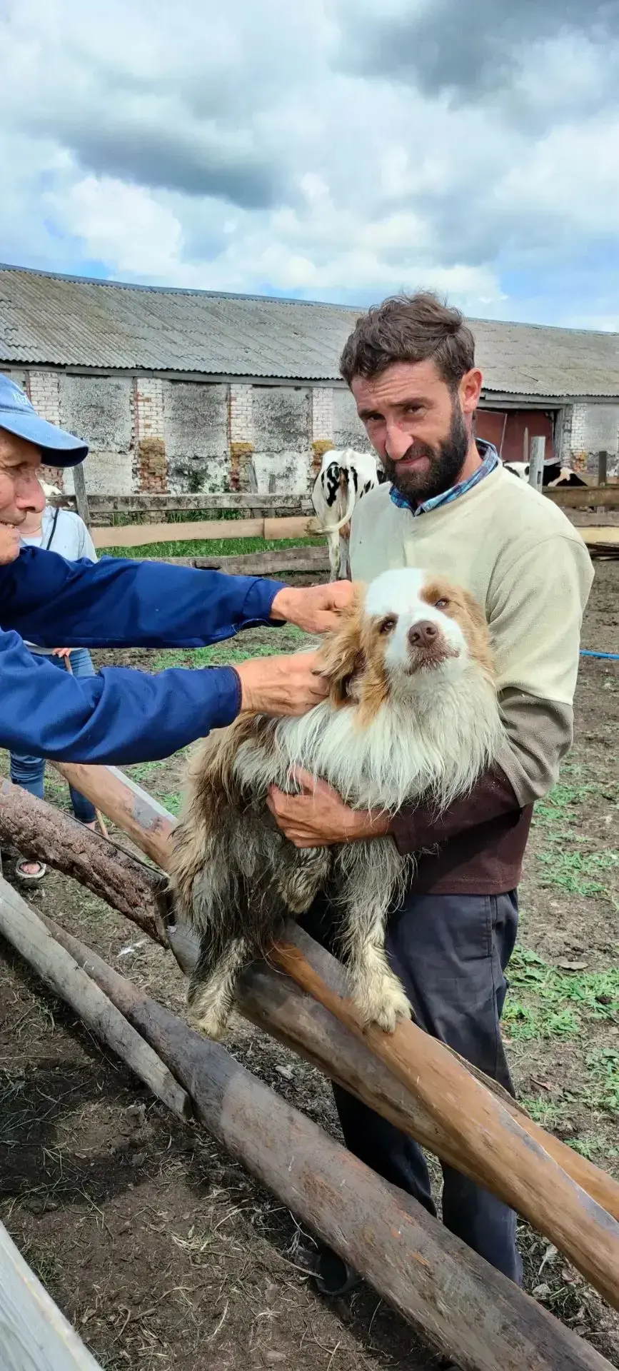 🔵🐑💉 Наши ветеринары — настоящие профессионалы своего дела! Сегодня Зайцев А. Г., Жалнин Н. К., Ос