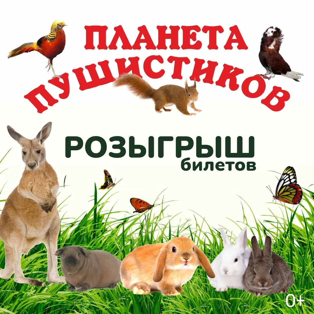Кол-во участников: 122