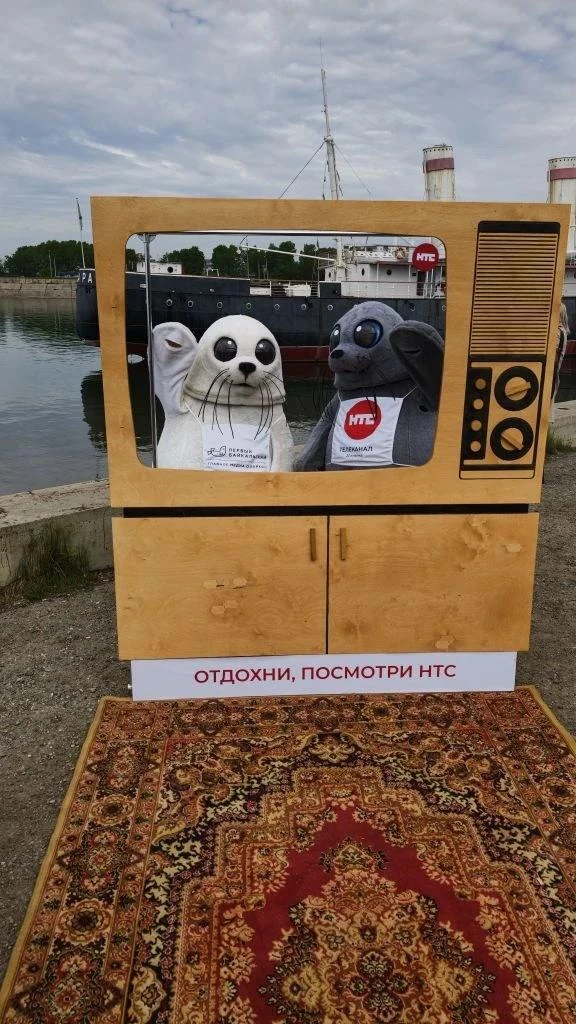 👀 Эти две нерпы сегодня хлопали ластами и болели за участников сап-гонки на Ангаре

Посмотреть фото