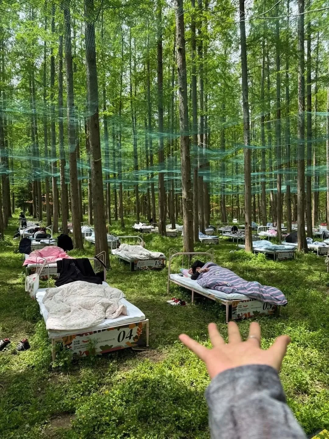 😴 В Шанхае проходят соревнования по сну в лесу