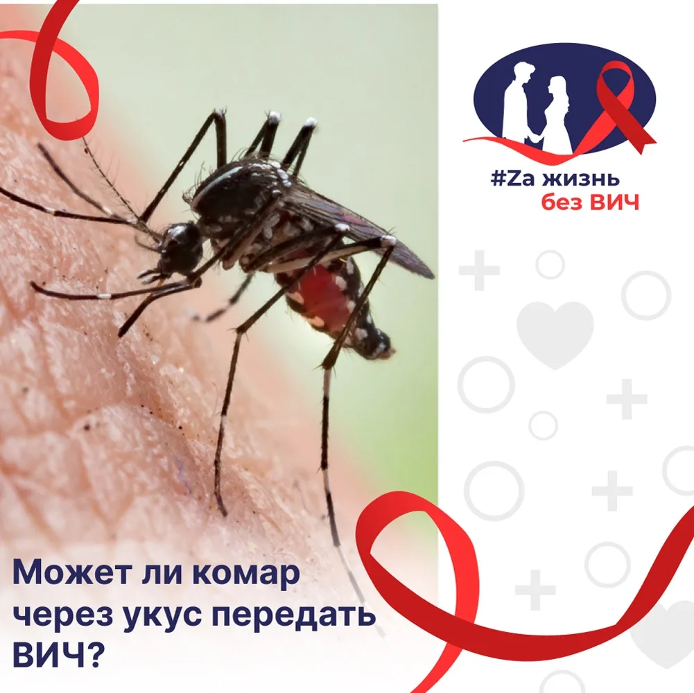 ✏️ Вопросы о ВИЧ-инфекции

❓ Можно ли заразиться ВИЧ при укусе кровососущих насекомых?

☝️ Нет. Даже