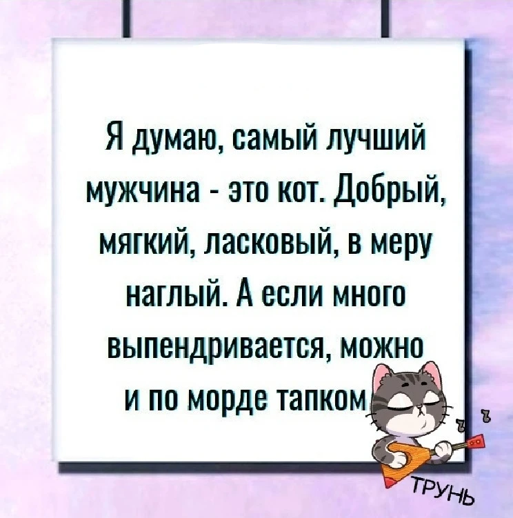 Кот меня еще ни разу не предал)