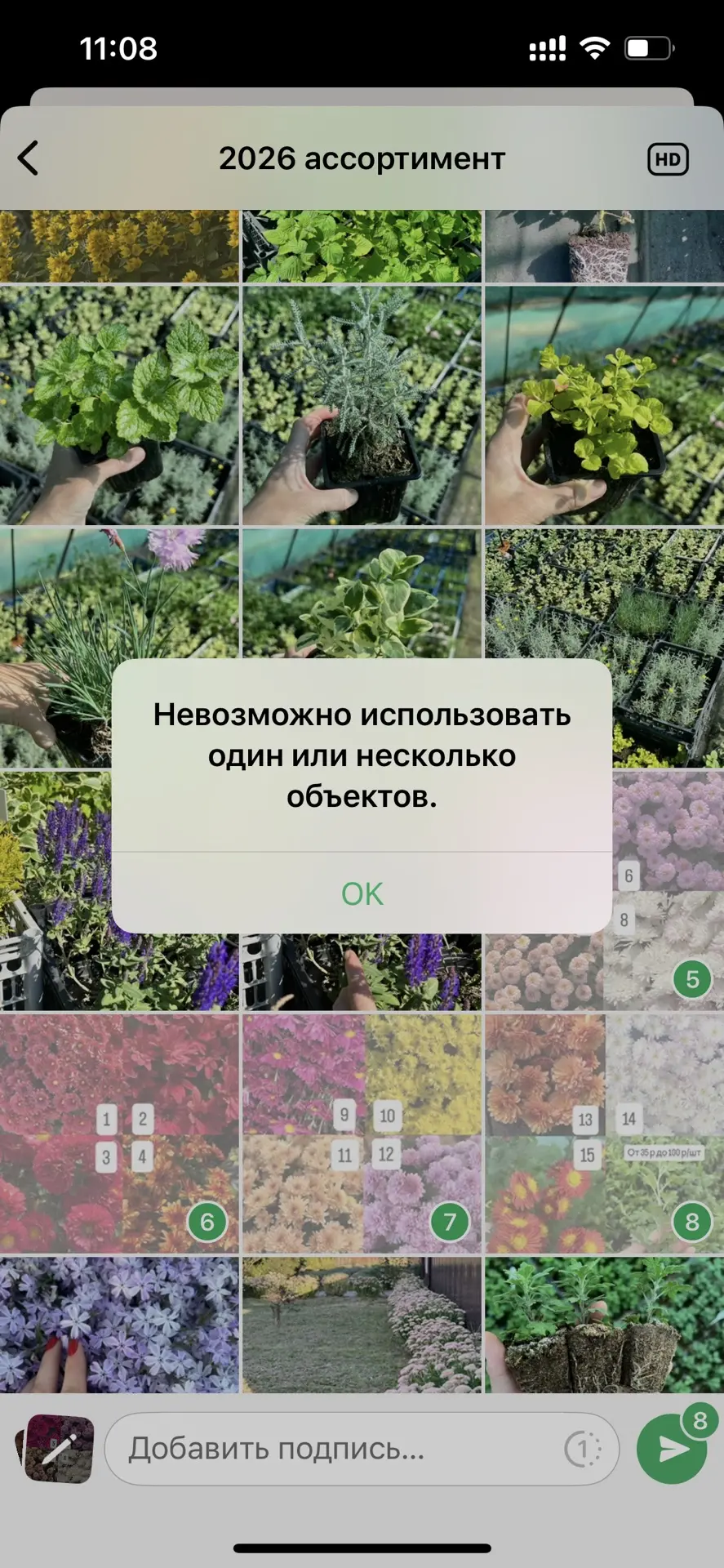 Изображение 3 к публикации «Ферма Лесниченко 🍓Клубника 💜Лаванда🌱Теплица»