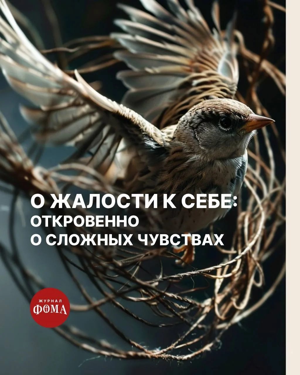 «…чтобы давать себе любовь в виде жалости, человеку приходится все время оставаться несчастным. Ведь