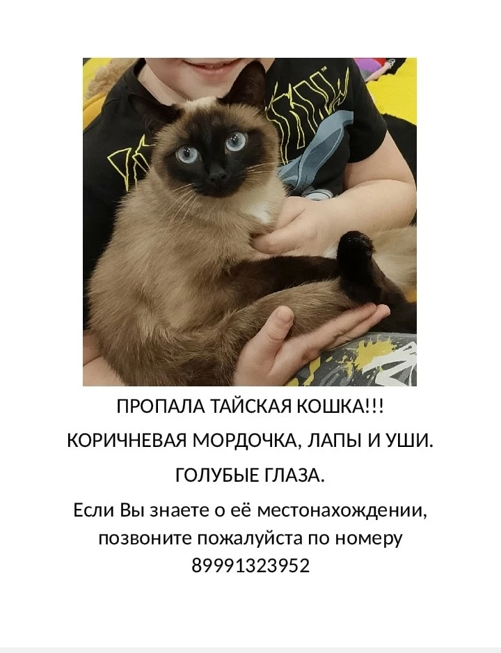 👤 Камила Эрфольг