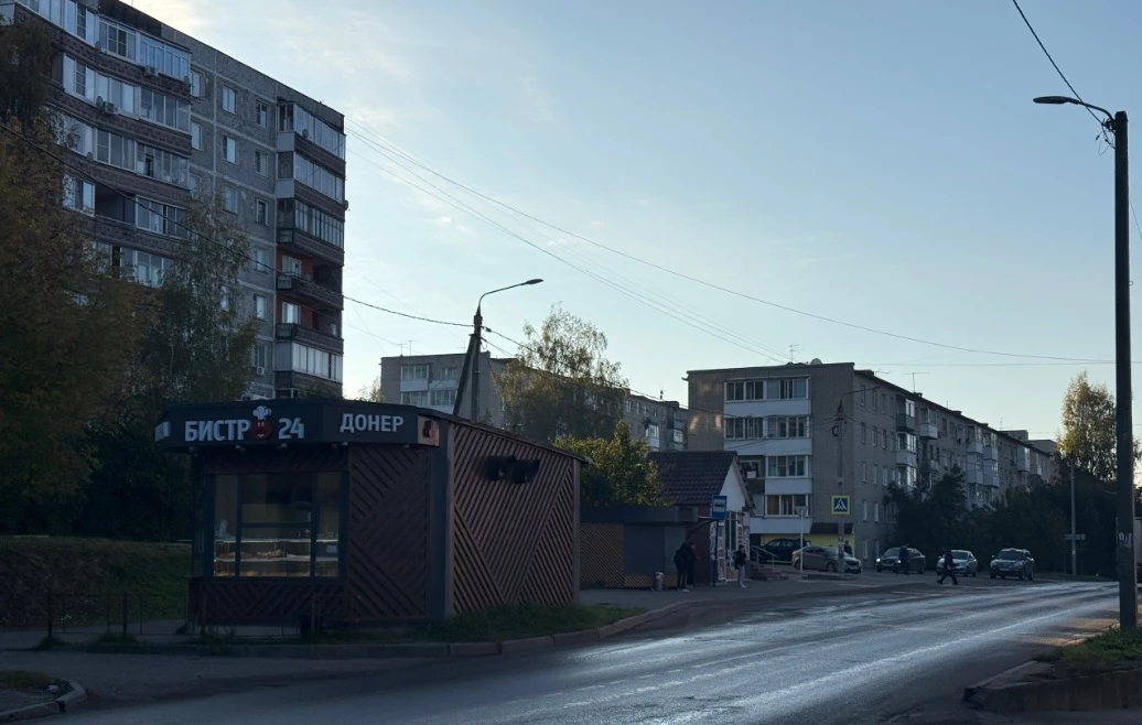 Глава Смоленска объехал Заднепровский район